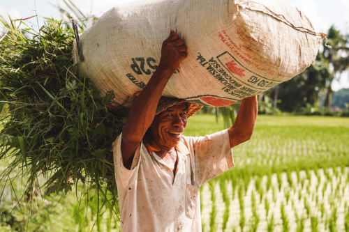 20230603-144818-ubud-DSC09157