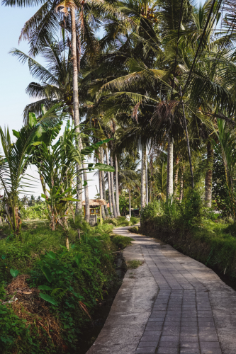 20230603-145641-ubud-DSC09175