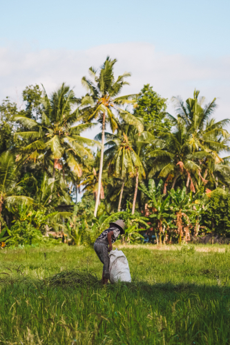 20230603-151216-ubud-DSC09196