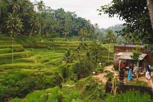 20230604-083746-ubud-DSC09211