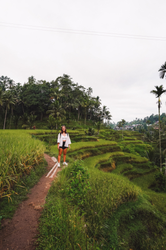 20230604-085857-ubud-DSC09272