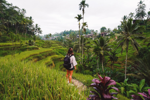 20230604-085928-ubud-DSC09280
