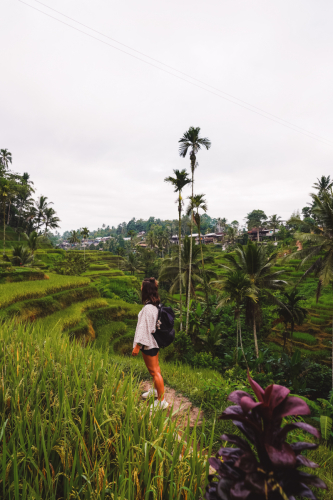 20230604-085936-ubud-DSC09282