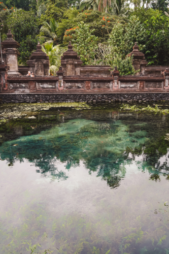 20230604-095626-ubud-DSC09334