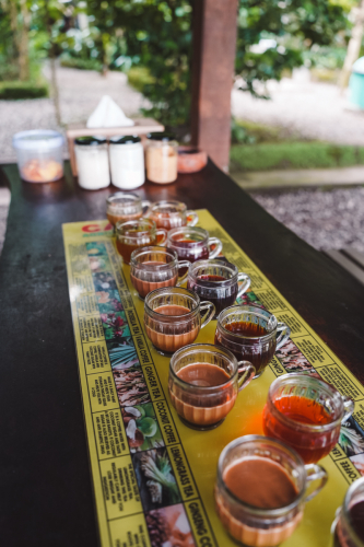 20230604-104709-ubud-DSC09374