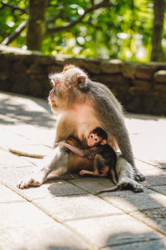 20230604-142001-ubud-DSC09419