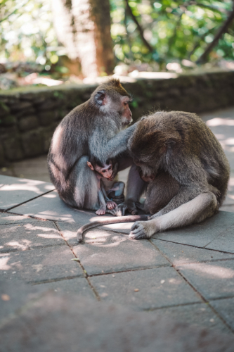 20230604-142430-ubud-DSC09436