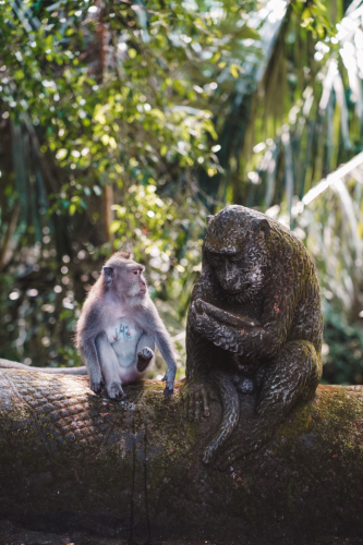 20230604-142737-ubud-DSC09456