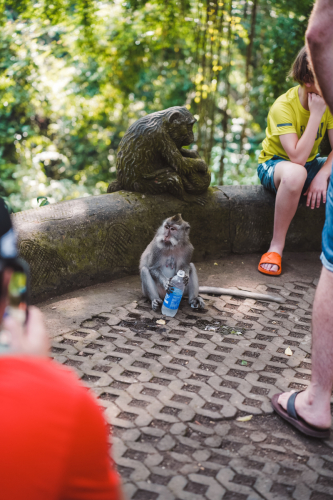 20230604-143001-ubud-DSC09463
