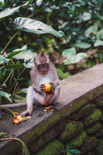 20230604-144827-ubud-DSC09498