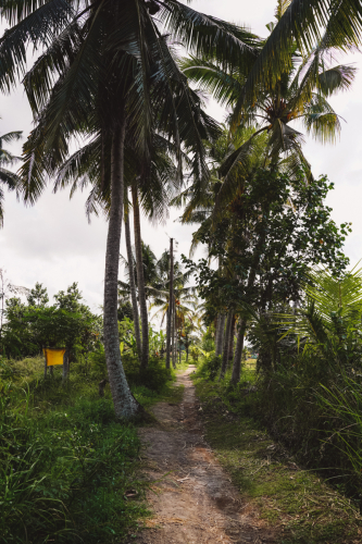 20230605-111908-ubud-DSC09531