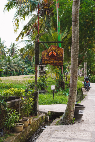 20230605-112741-ubud-DSC09553