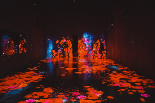 20230607-135855-artscience-DSC09733