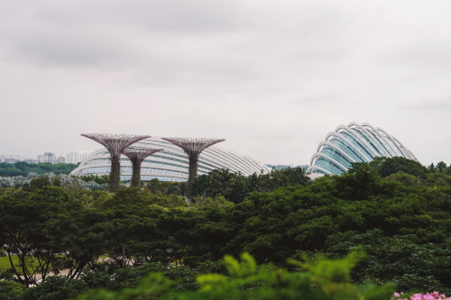 20230607-154832-singapur-DSC09812