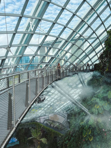 20230609-100101-cloudforest-IMG_3959