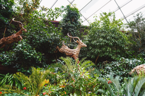 20230609-111508-flowerdome-DSC00106
