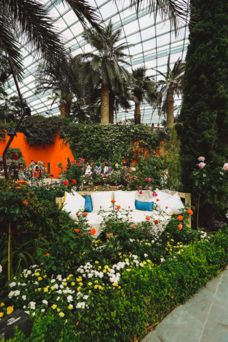 20230609-113241-flowerdome-DSC00112