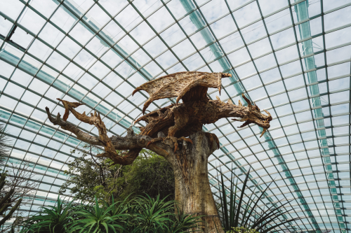 20230609-114209-flowerdome-DSC00122