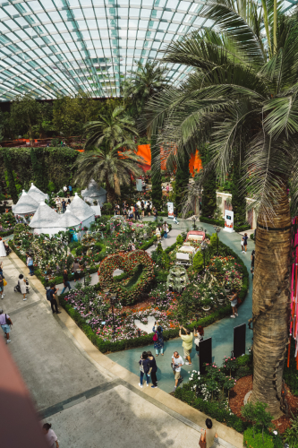 20230609-114231-flowerdome-DSC00124