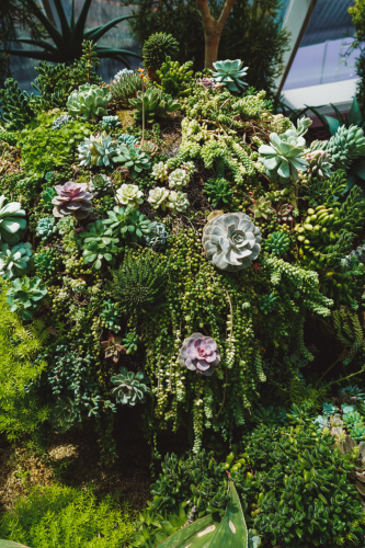 20230609-114529-flowerdome-DSC00127