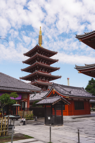 20230616-080057-tokio-DSC00671