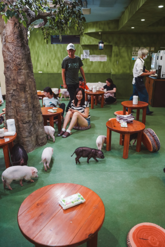 20230617-105603-mipigcafe-DSC01010