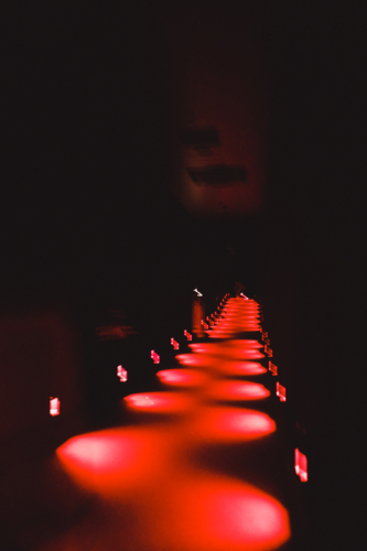 20230619-115239-teamlabplanets-DSC01695