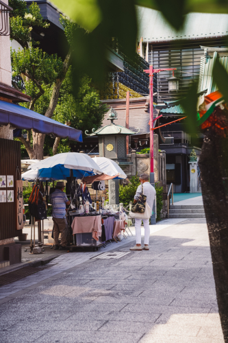 20230619-140932-tokio-DSC01864