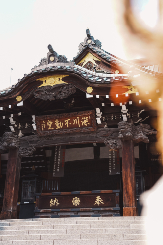 20230619-141148-tokio-DSC01870