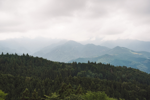 20230621-142107-mogomepass-DSC02265