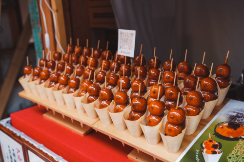 20230623-111640-osaka-DSC02331