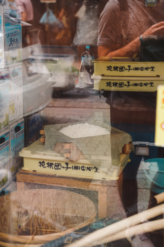 20230624-102850-nara-DSC02411