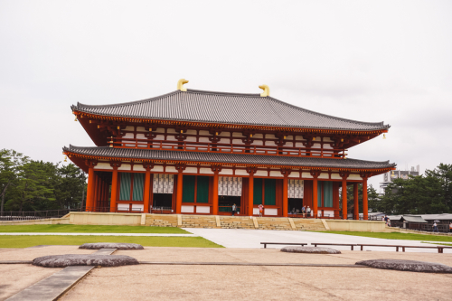 20230624-104708-nara-DSC02421