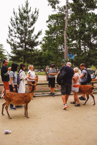 20230624-105705-nara-DSC02448