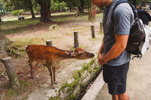 20230624-111250-nara-DSC02502