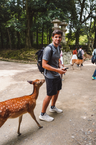 20230624-112140-nara-DSC02517