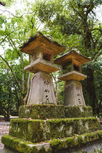 20230624-112212-nara-DSC02518