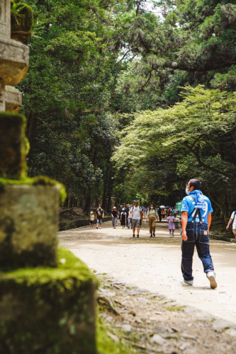 20230624-112650-nara-DSC02520