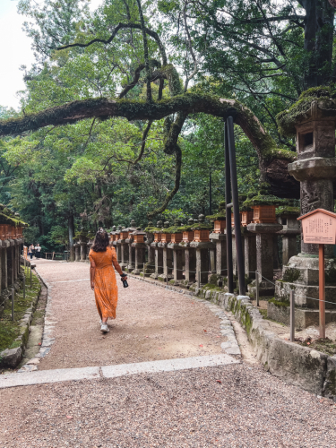 20230624-120337-nara-IMG_4698