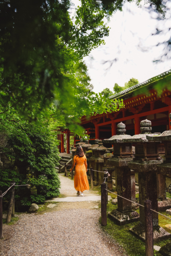 20230624-121552-nara-DSC02594