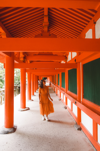 20230624-122105-nara-DSC02609