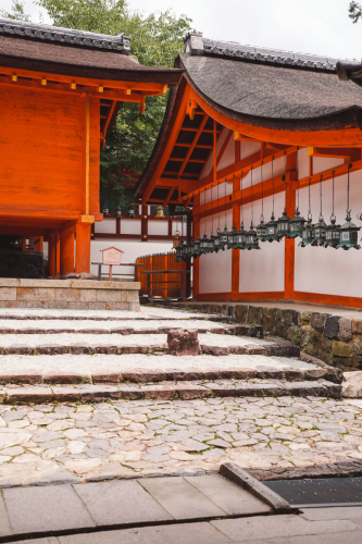 20230624-122335-nara-DSC02619