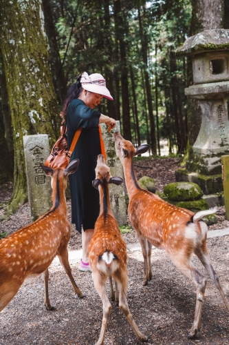 20230624-122805-nara-DSC02637
