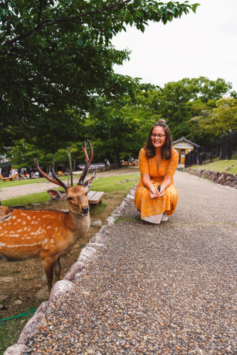 20230624-130539-nara-DSC02648