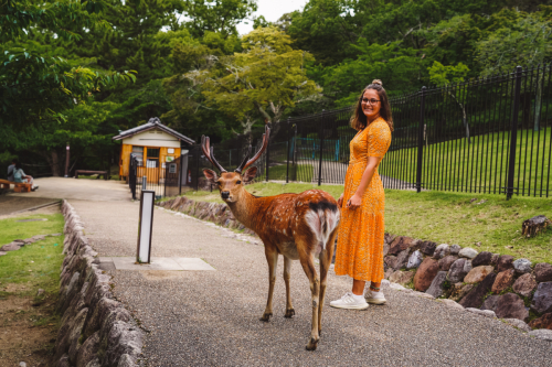 20230624-130857-nara-DSC02671