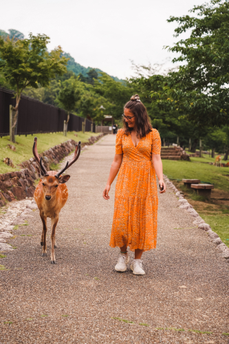 20230624-130939-nara-DSC02676