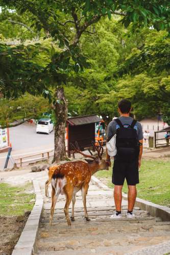 20230624-131205-nara-DSC02691