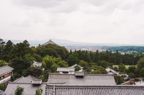 20230624-132356-nara-DSC02714