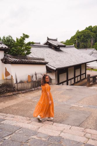 20230624-132848-nara-DSC02745