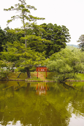 20230624-135355-nara-DSC02763